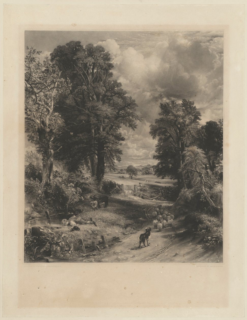 Le champ de blé - John Constable