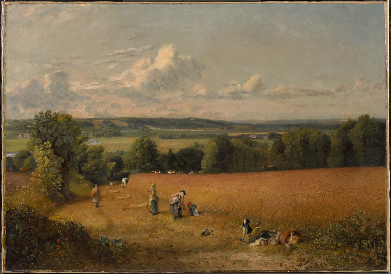 Le champ de blé - John Constable
