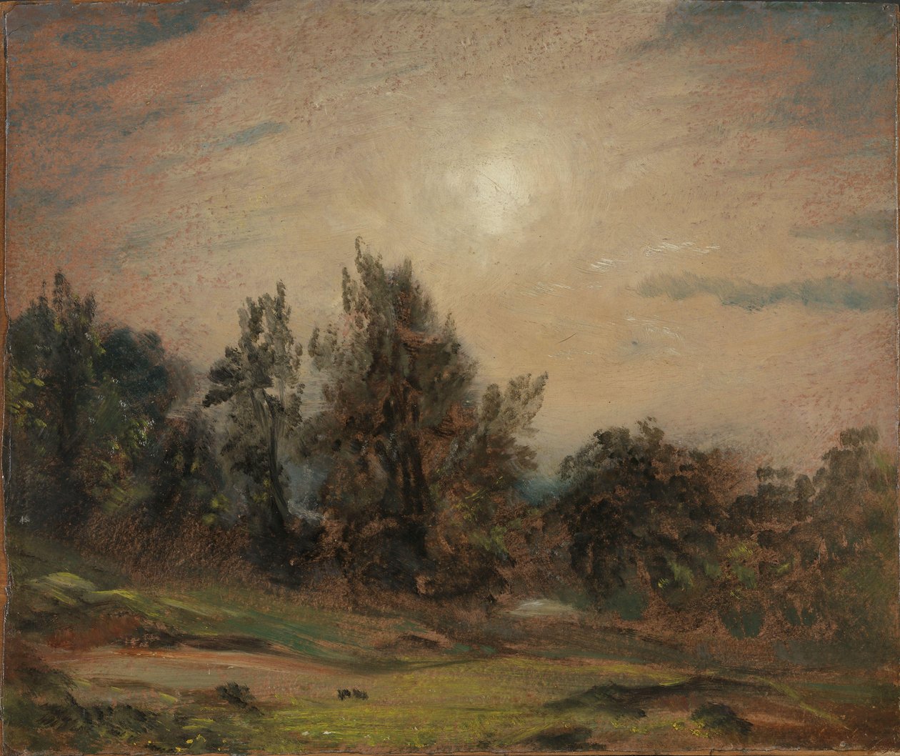 Arbres sur la lande de Hampstead - John Constable