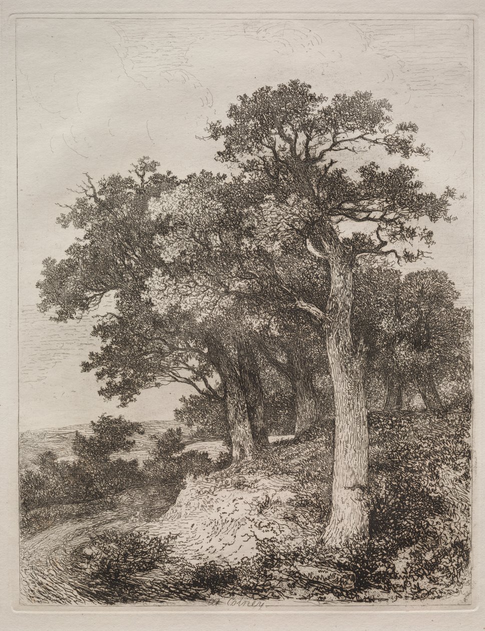 À Colney - John Crome
