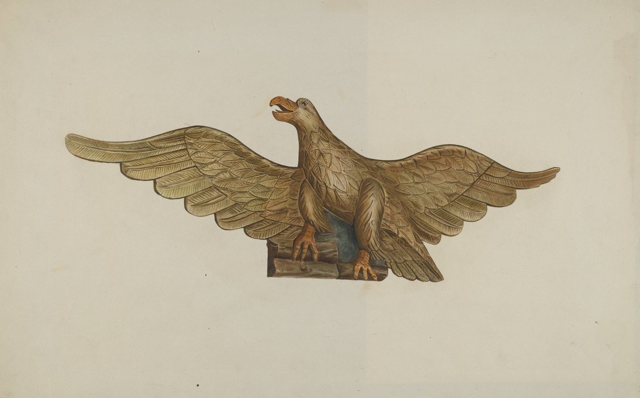 Aigle - John Davis