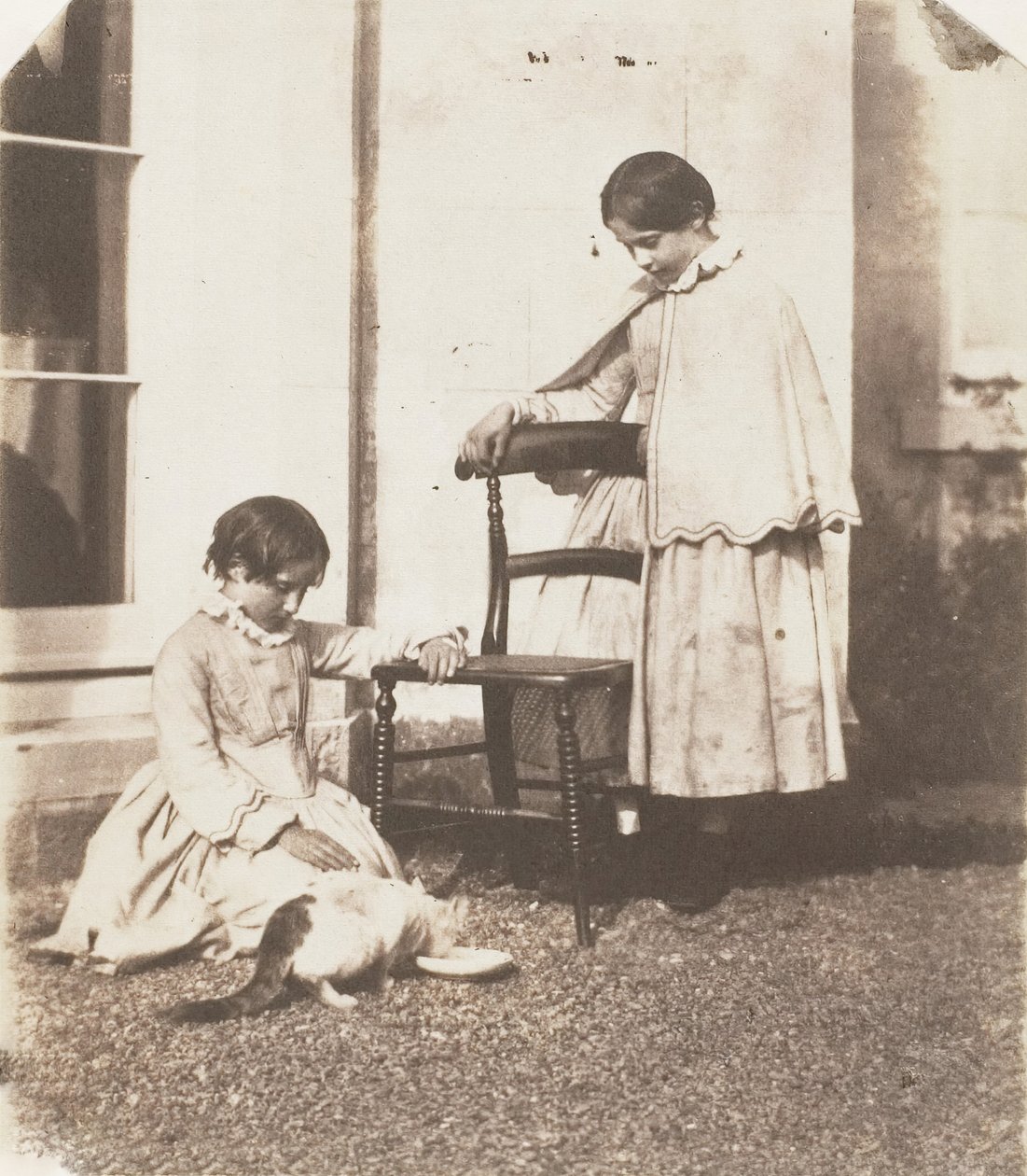 Nourrir le pauvre chat - John Dillwyn Llewelyn