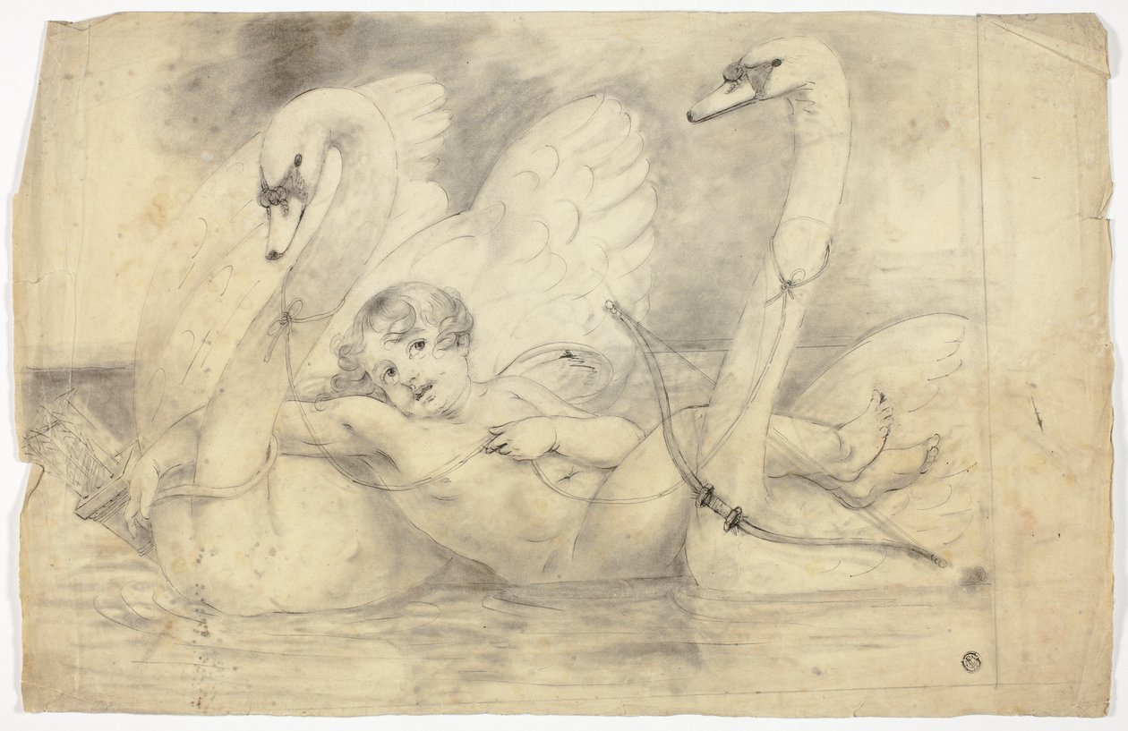 Cupidon et les cygnes - John Downman