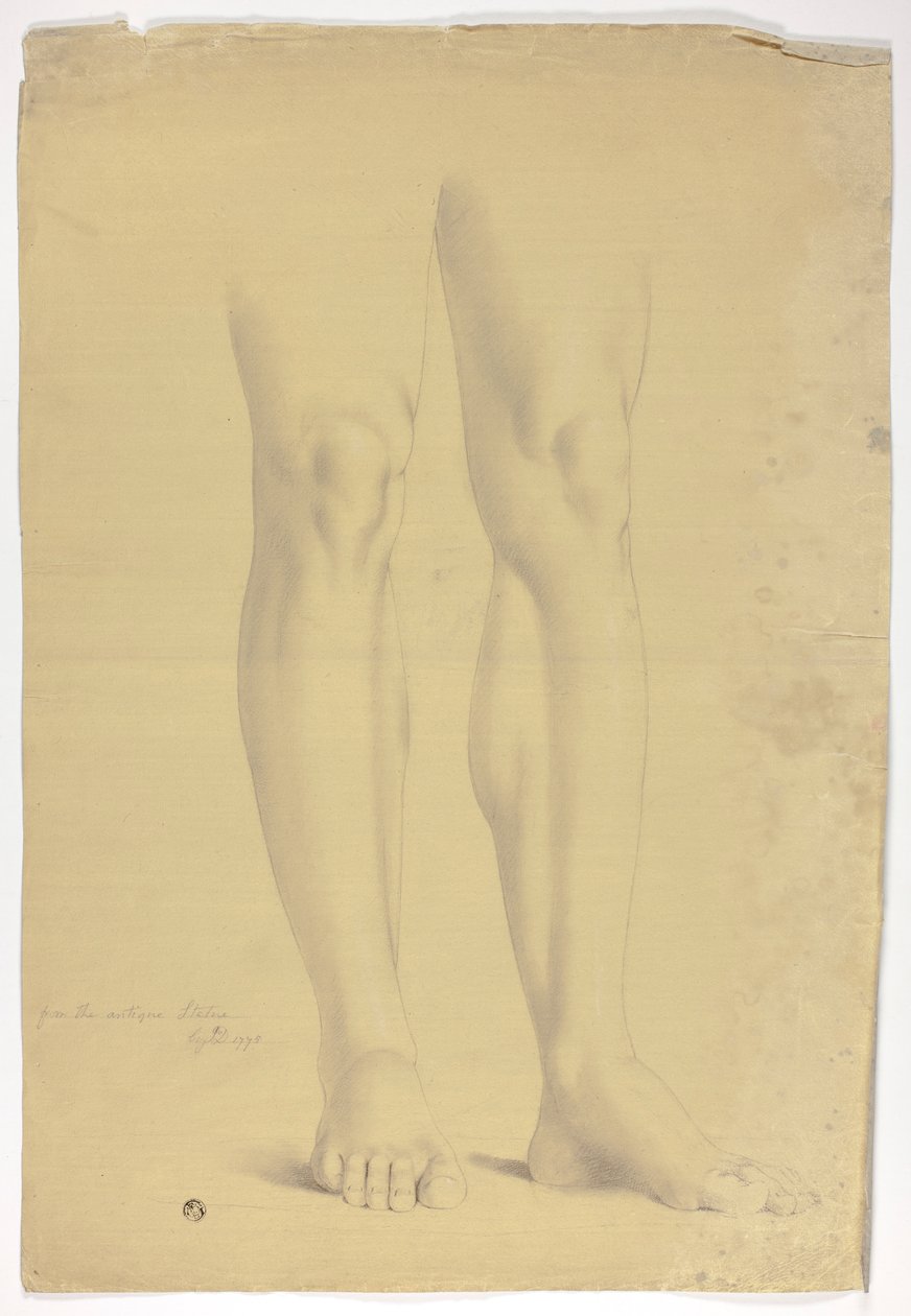 Jambes d