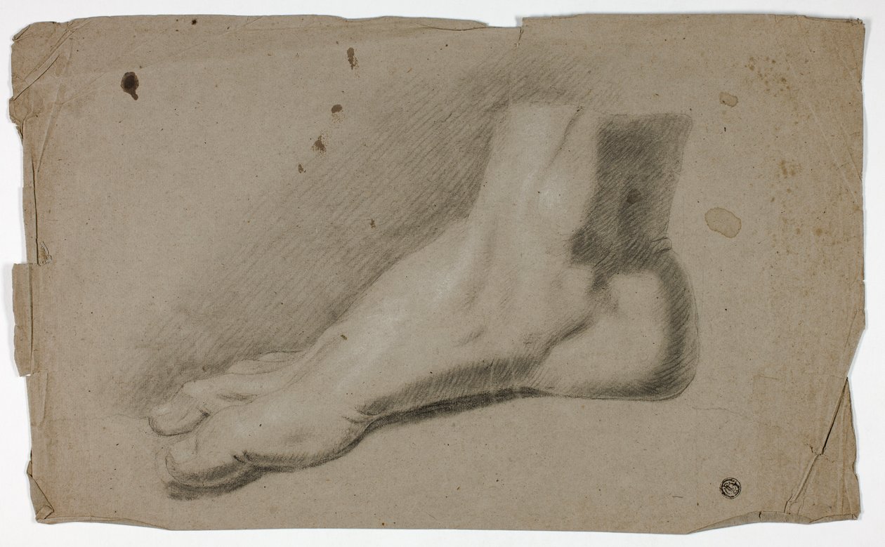 Pied droit - John Downman