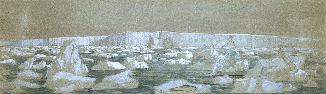 Partie de la barrière polaire sud, 2 février 1841 - John Edward Davis