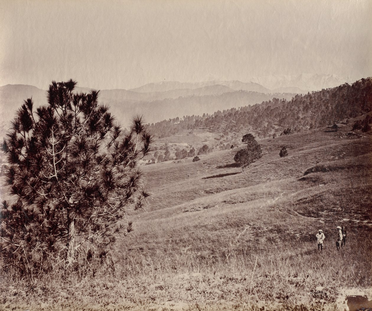 Paysage avec arbre et trois hommes, Inde - John Edward Saché