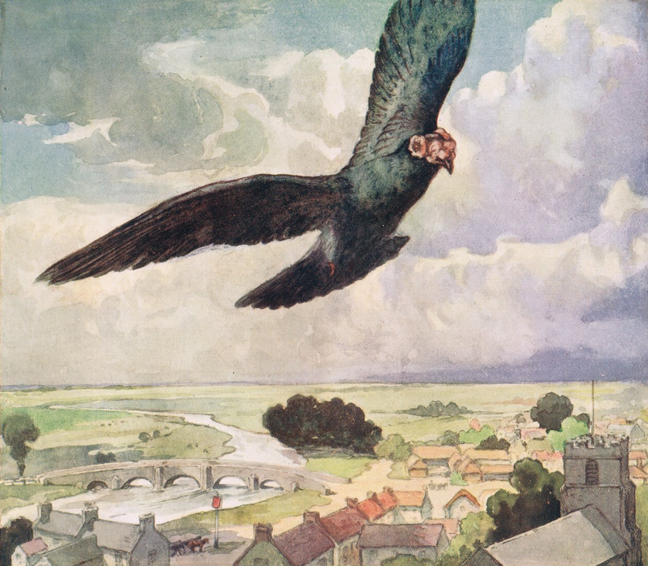 Oiseau volant au-dessus d