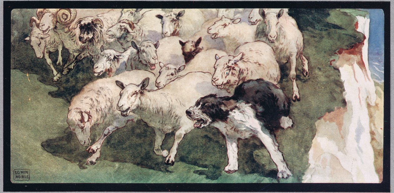 Bobtail sheepdog et troupeau sur des falaises, illustration de 