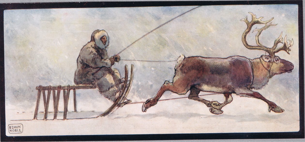 Renne et traîneau, illustration de 