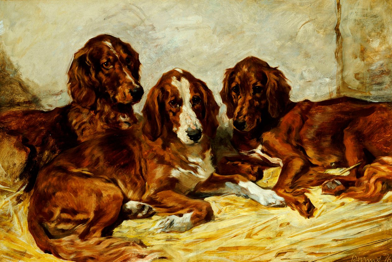 Shot et ses amis - Trois setters irlandais rouge et blanc, 1876 - John Emms