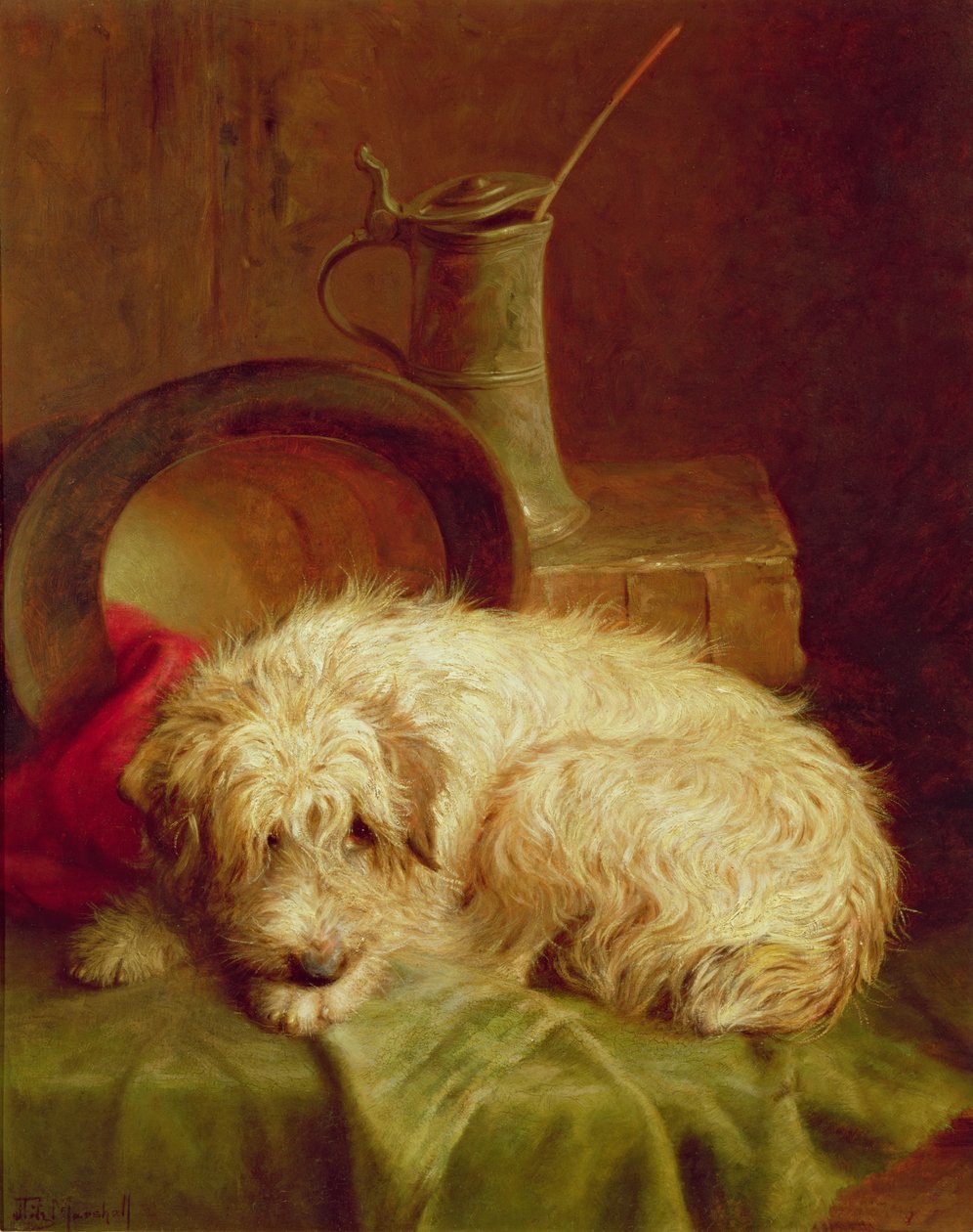 Un Terrier - John Fitz Marshall