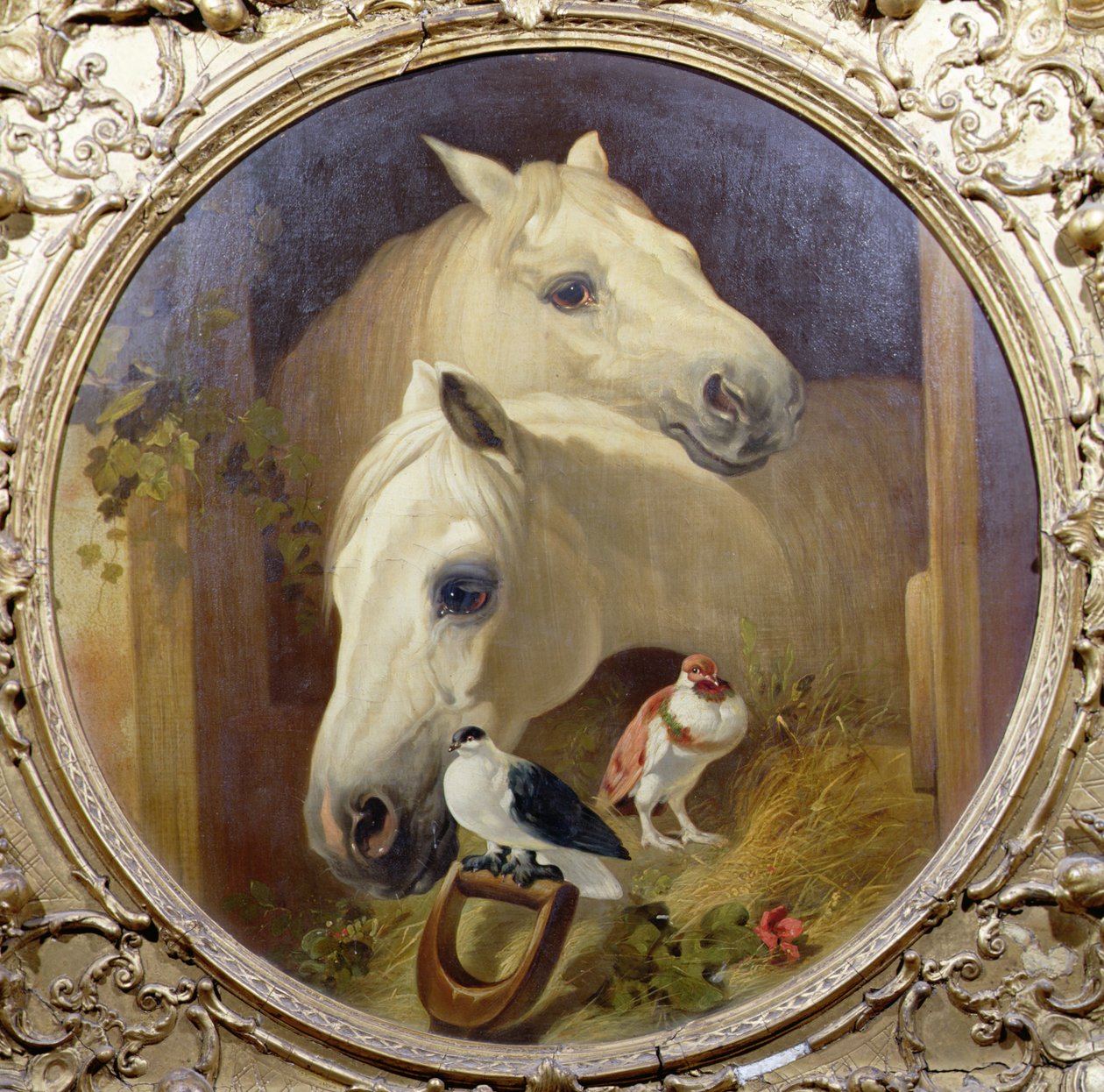 Chevaux près d