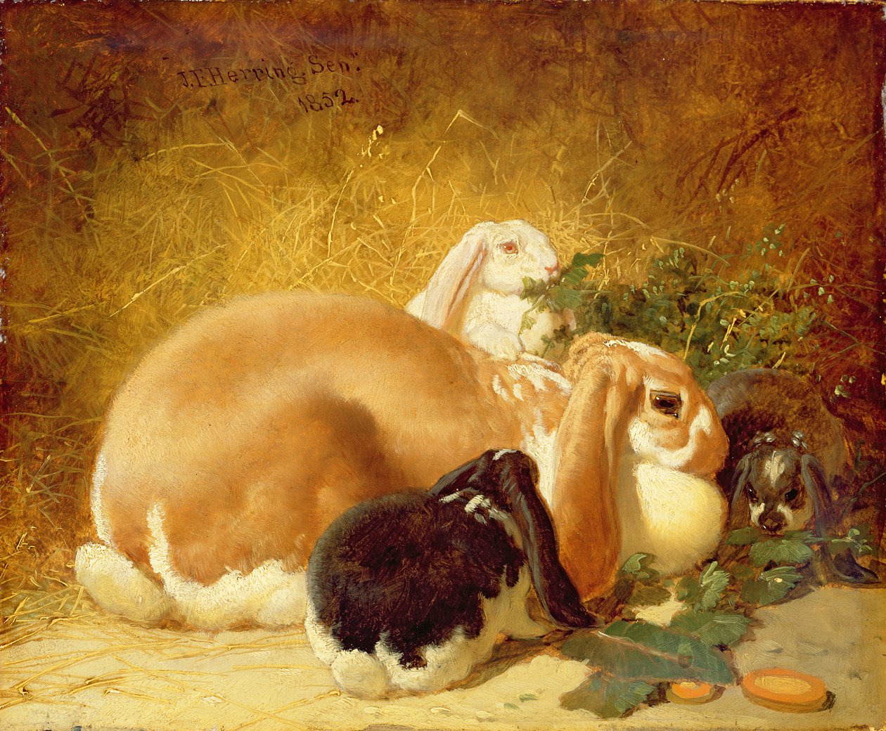 Lapins, 1852 - John Frederick Herring Junior