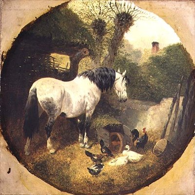 Un cheval de trait mangeant du foin d