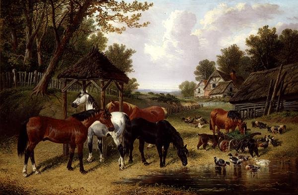 Chevaux près d