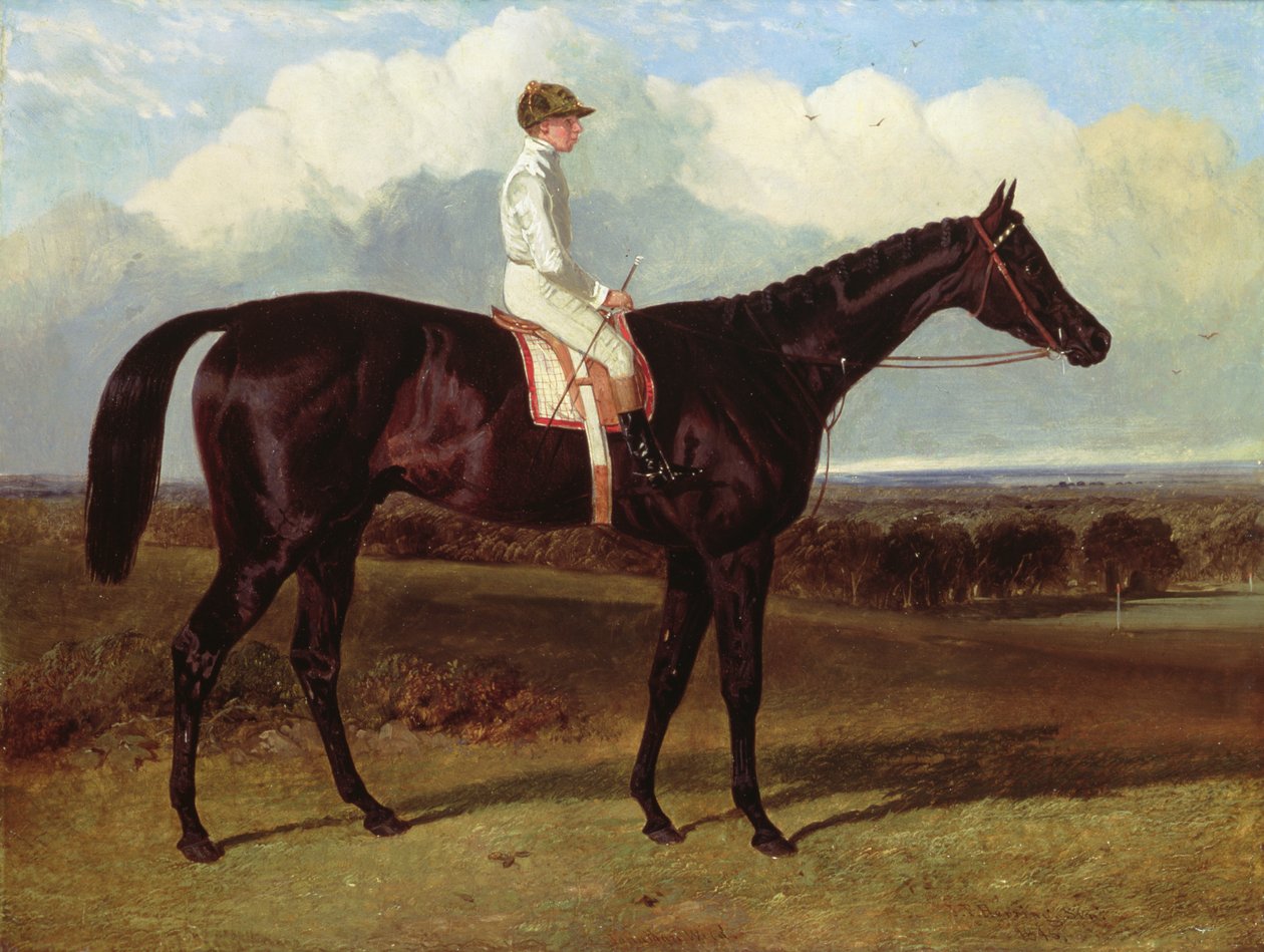 Jonathan Wild un cheval de course bai foncé, à Goodwood, T. Ryder en selle, 1846 - John Frederick Herring Senior