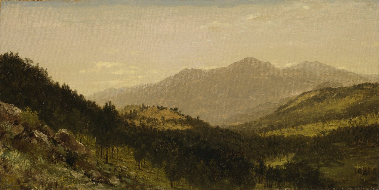 Bergen Park (Colorado) - John Frederick Kensett