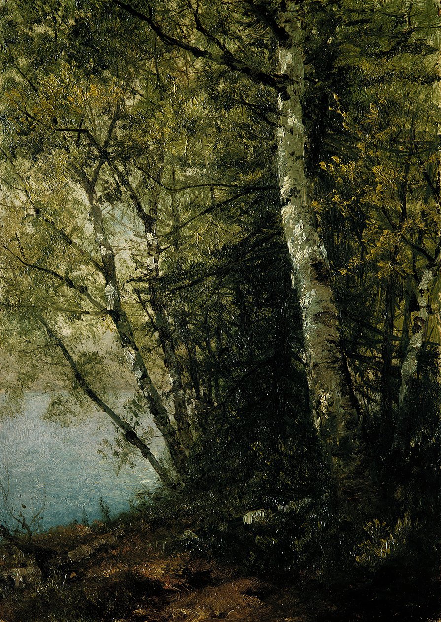 Étude de hêtres, 1872 - John Frederick Kensett