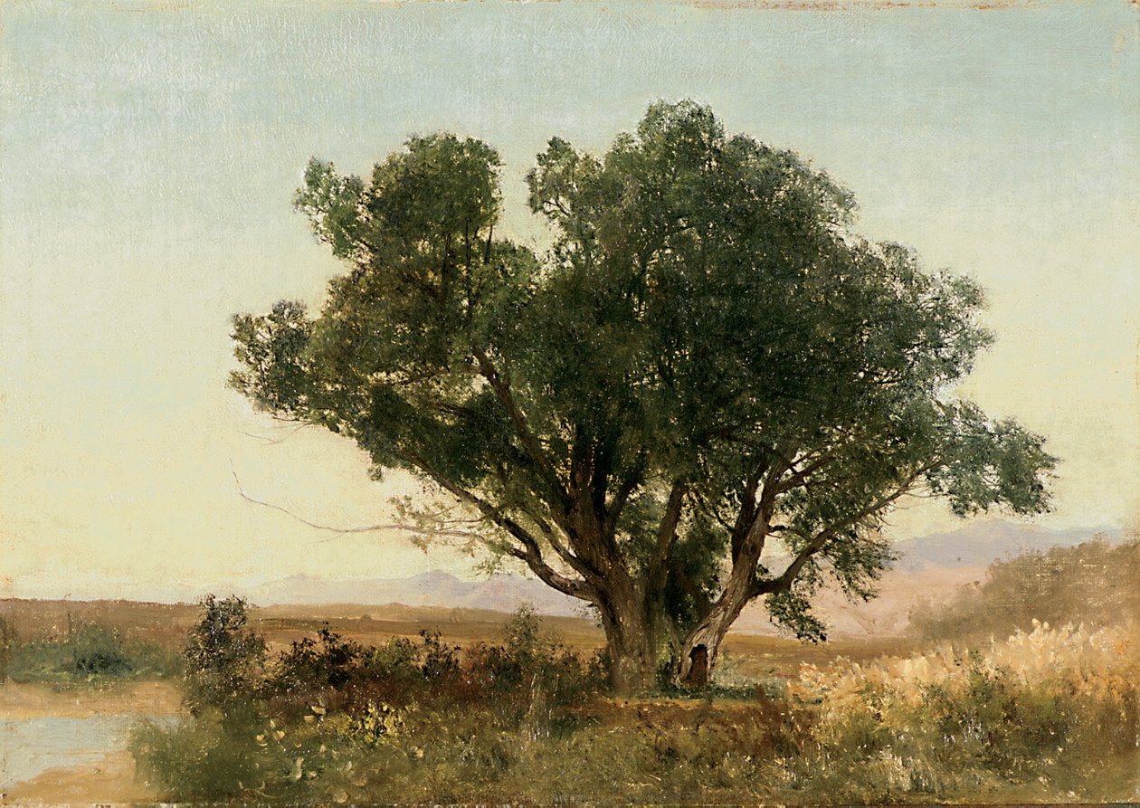 La Front Range, Colorado - John Frederick Kensett
