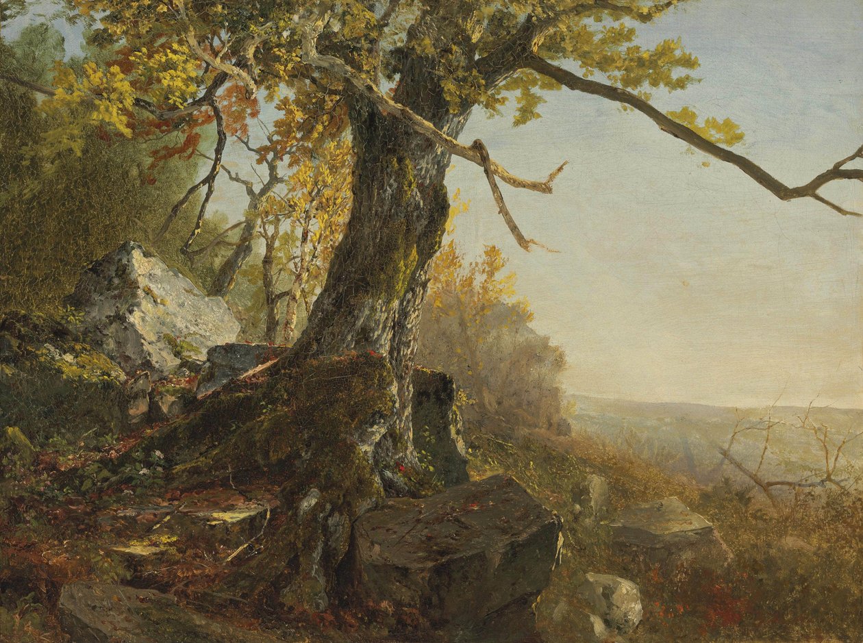 Arbre dans un paysage - John Frederick Kensett