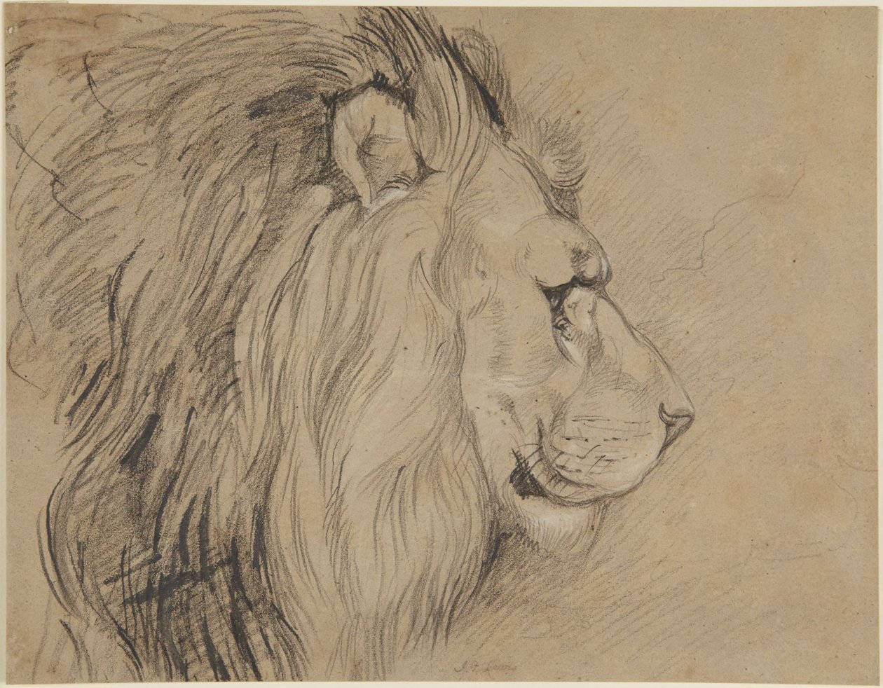 Lion - John Frederick Lewis