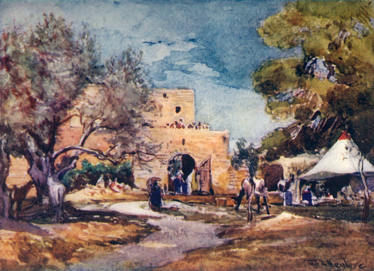 Bâtiment Médiéval à l