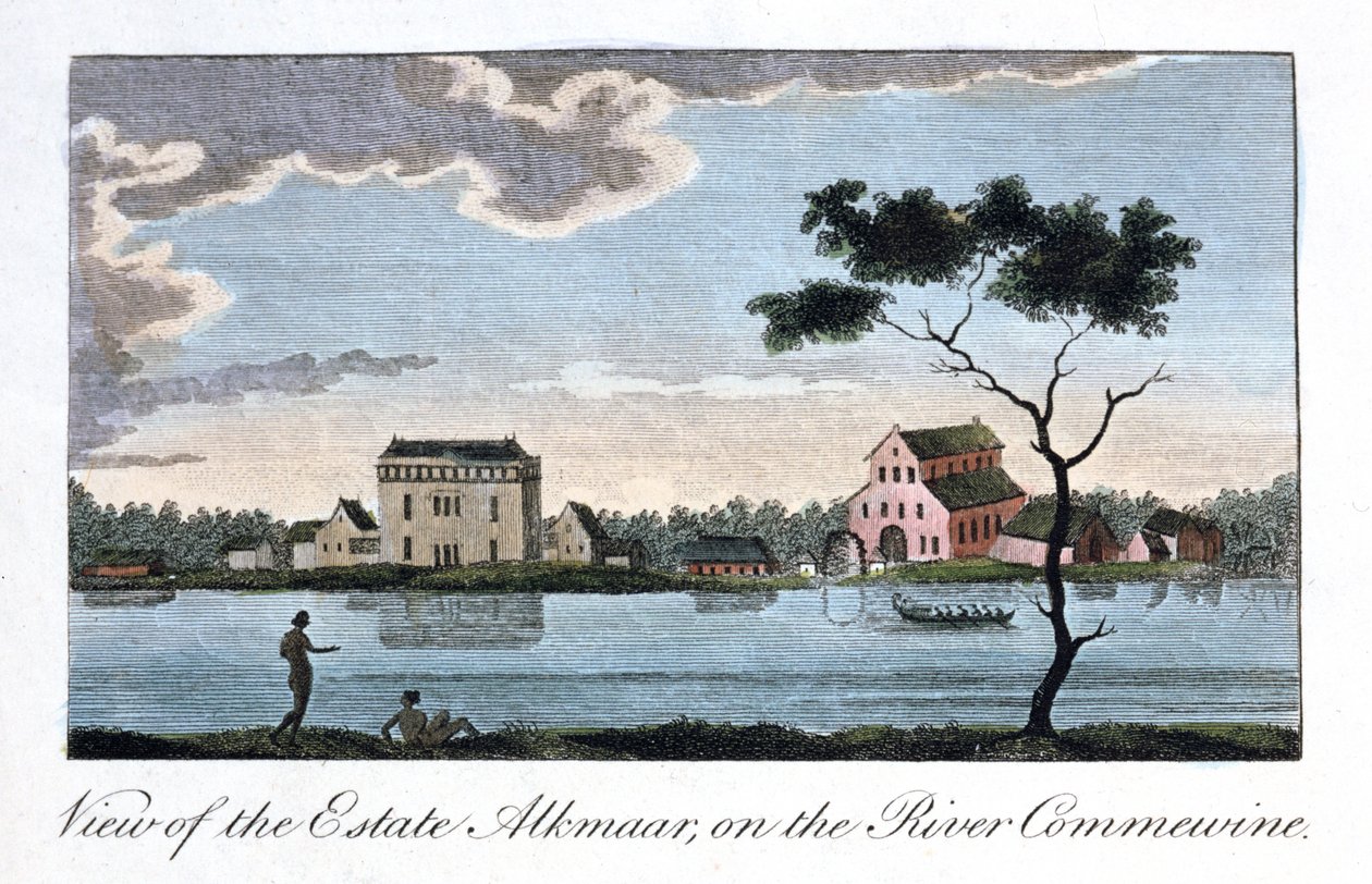 Vue du domaine Alkmaar, sur la rivière Commewine, 1813 - John Gabriel Stedman