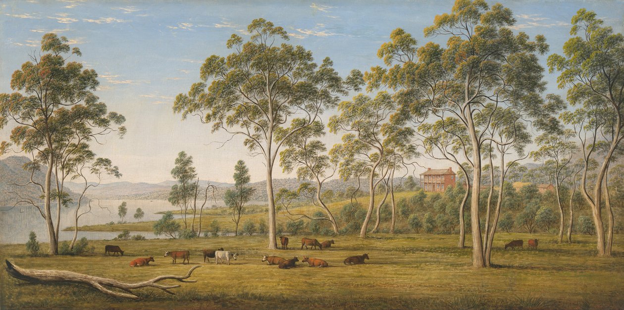 Maison de M. Robinson sur la Derwent, Van Diemen