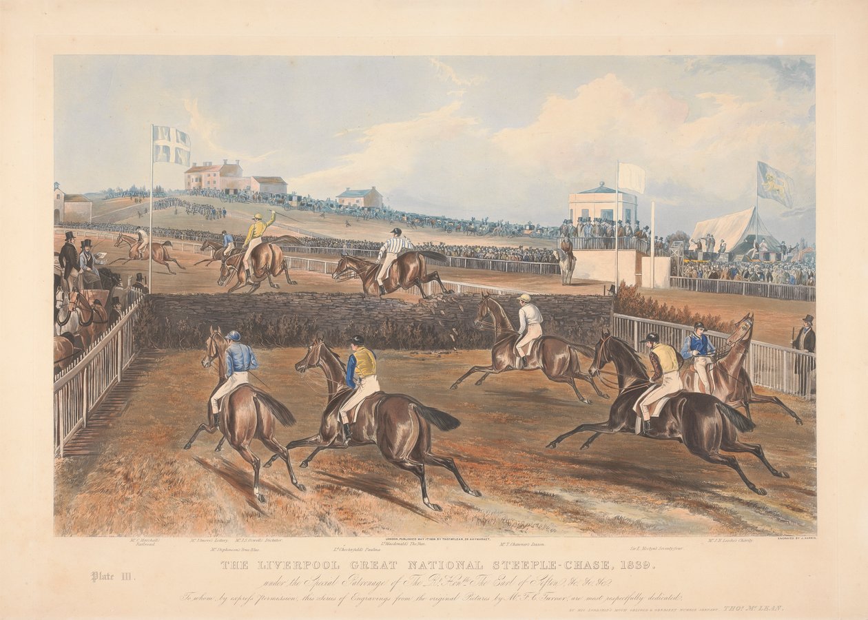 Un de quatre : La grande course de steeple-chase de Liverpool - John Harris