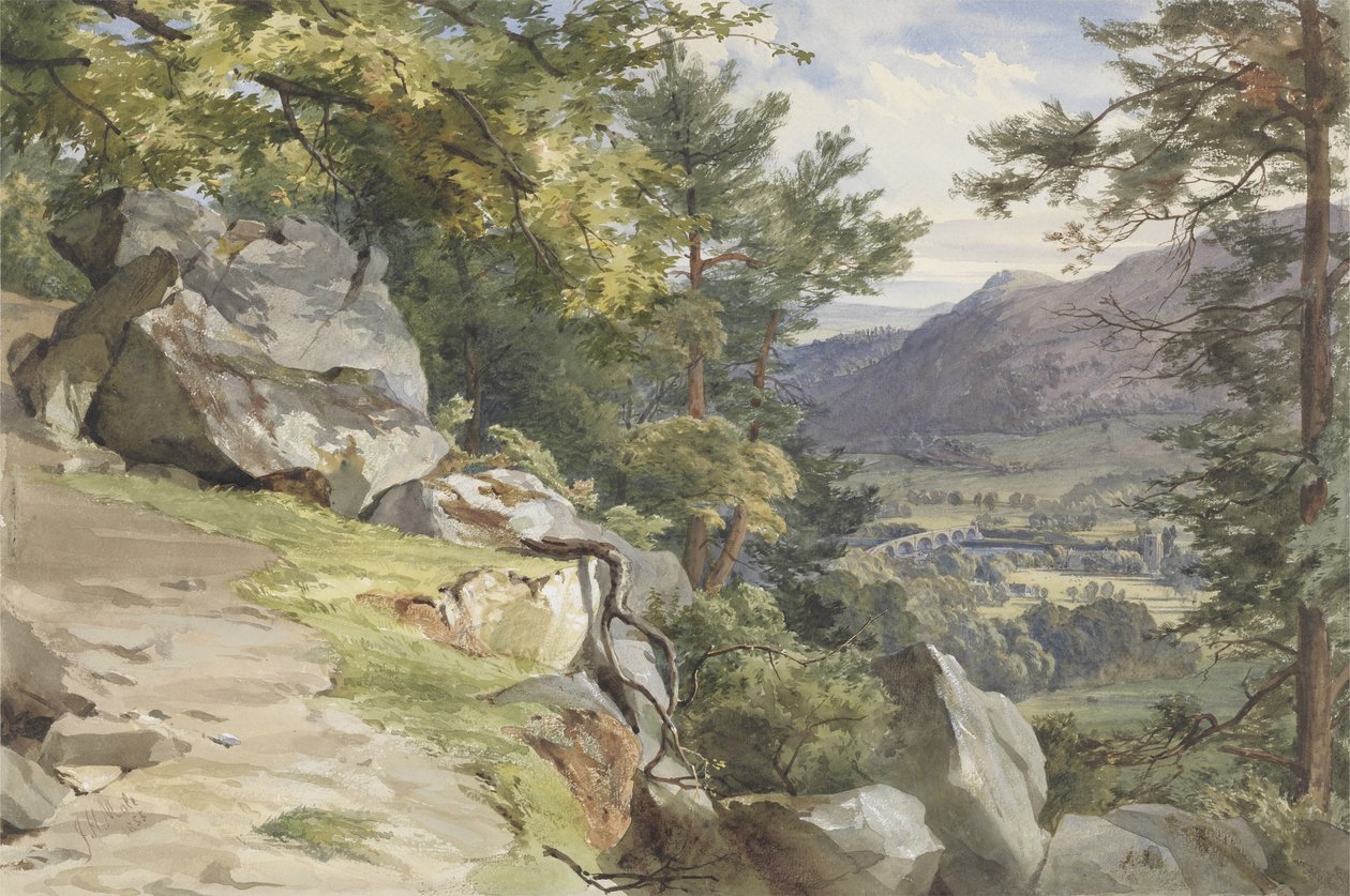 Vue de Craig-y-Barns, Dunkeld, regardant vers le sud, 1855 - John Henry Mole