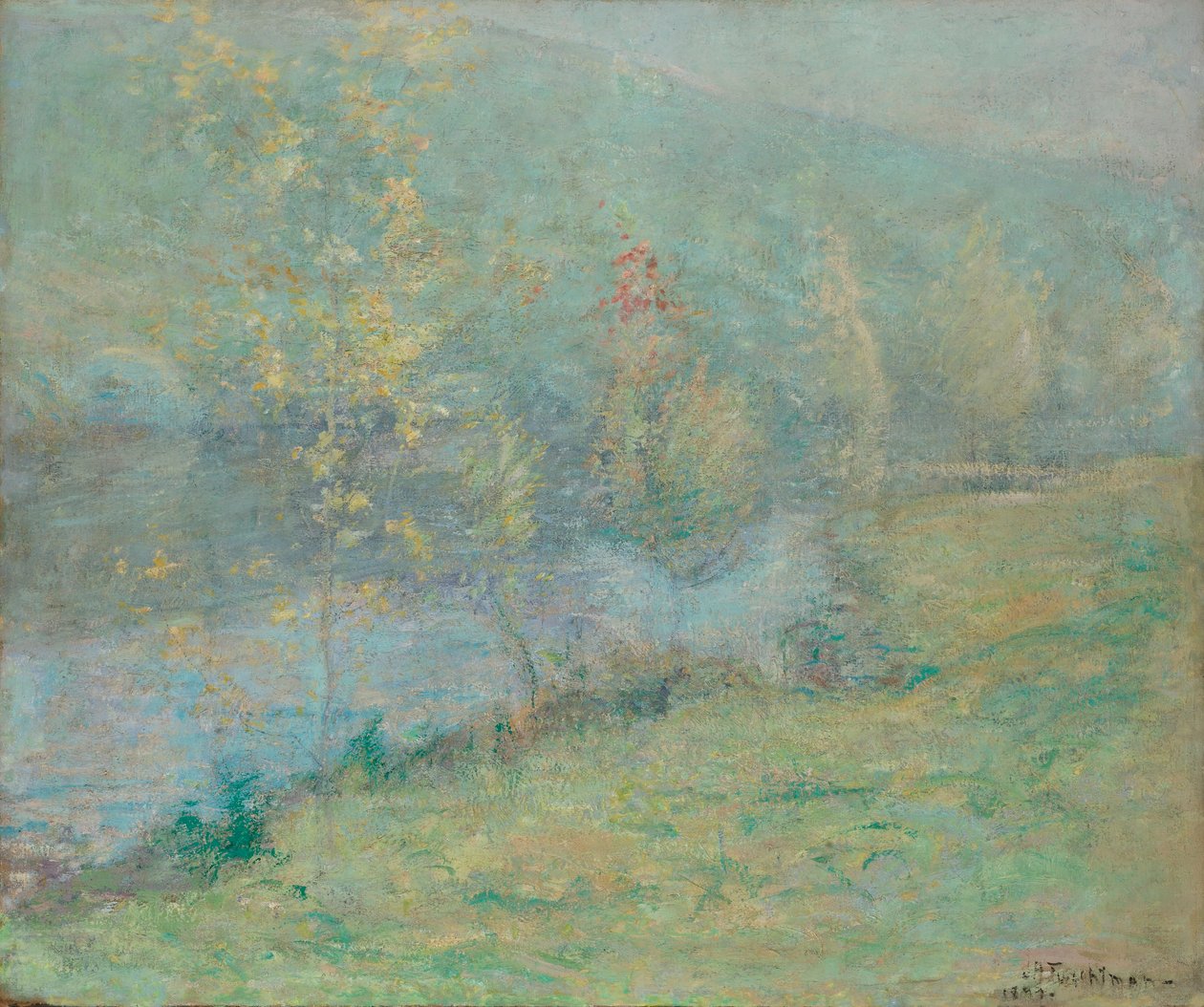 Matin de mai brumeux - John Henry Twachtman