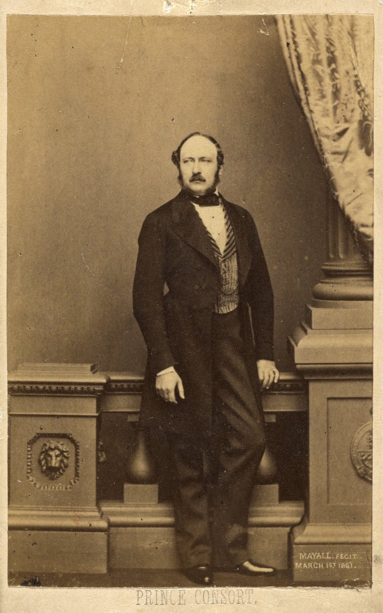 Prince Consort. [François Charles Auguste Emmanuel Albert, prince de Saxe-Cobourg-Gotha]. - John Jabez Edwin Mayall