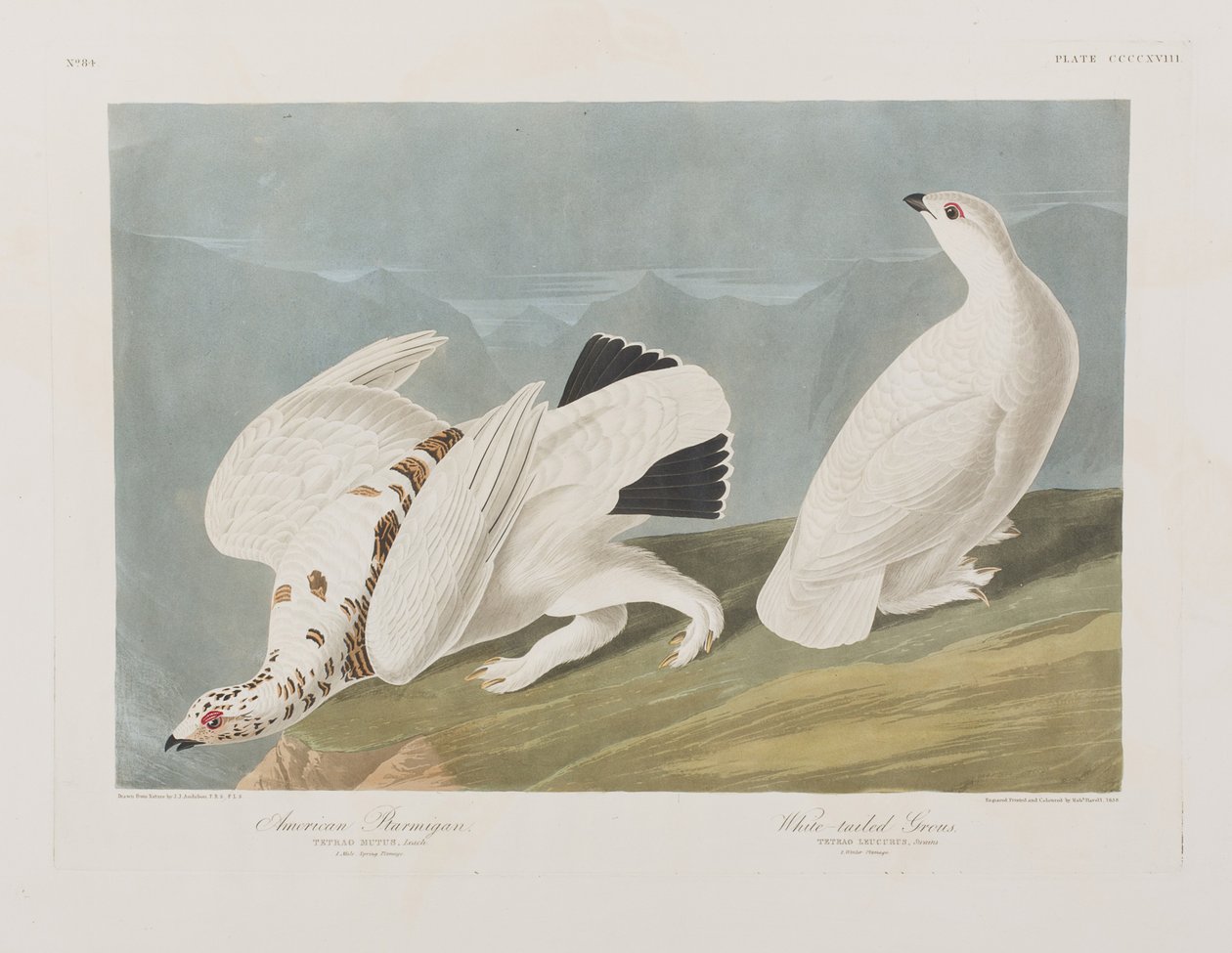 Illustration de 