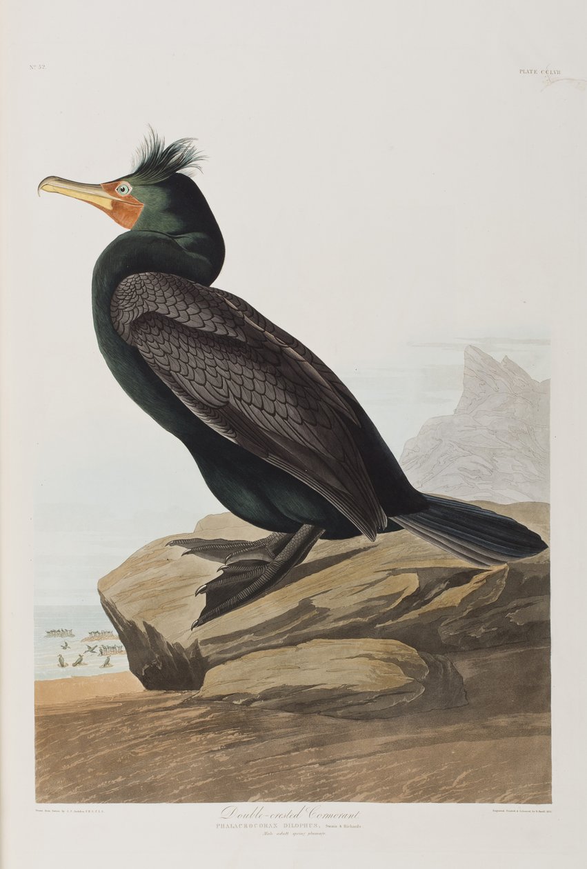 Illustration de 