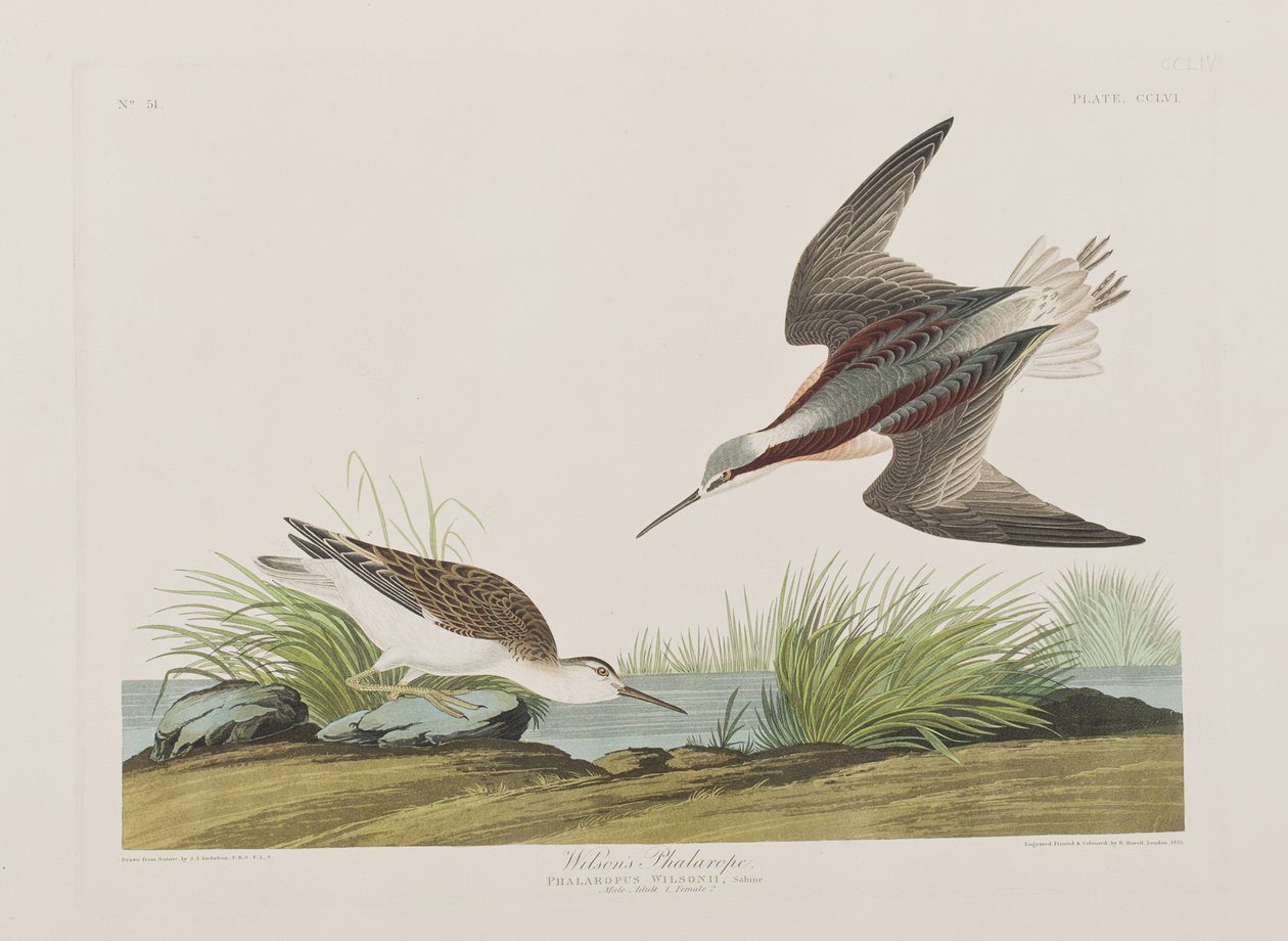 Illustration de 