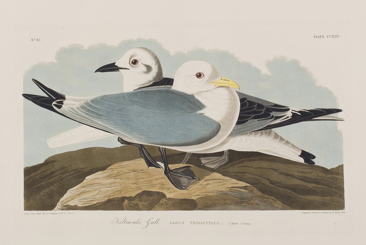 Illustration de 