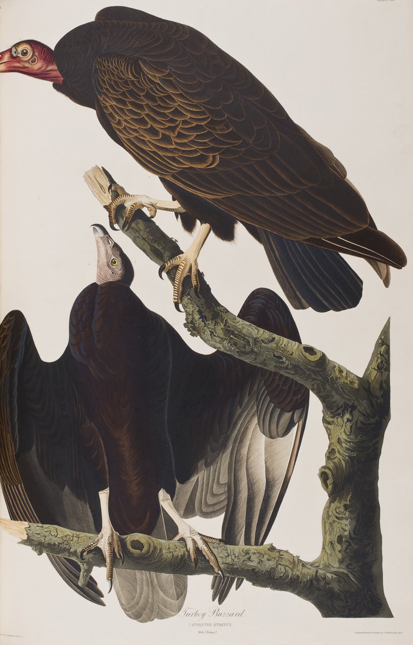 Illustration de 