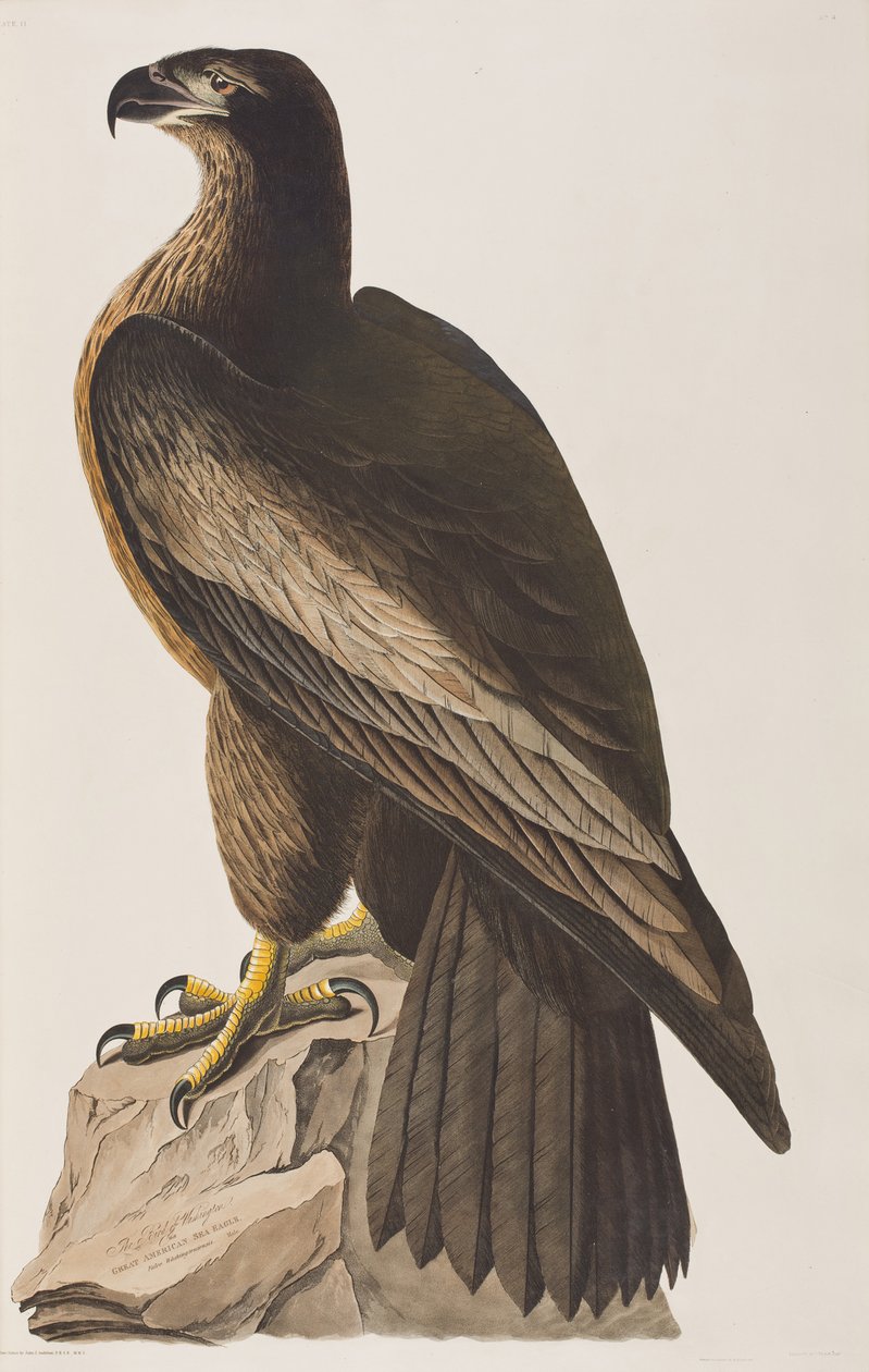 Illustration de 