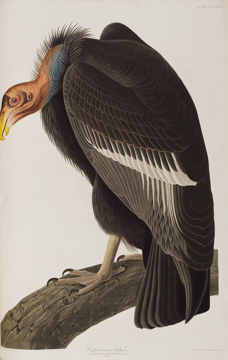 Illustration de 