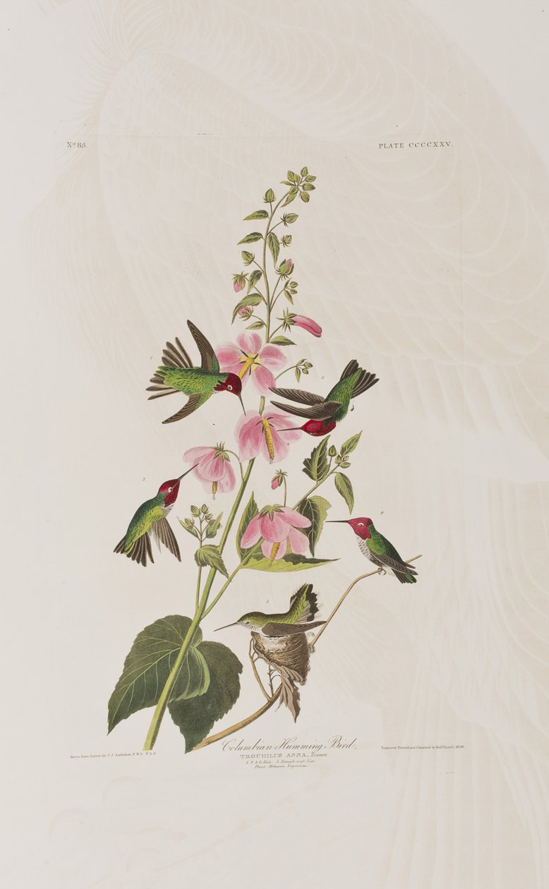 Illustration de 