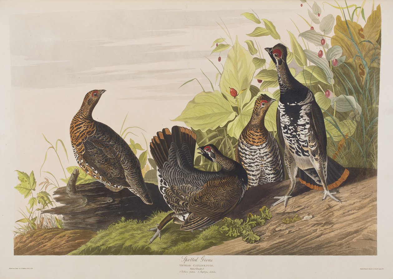 Illustration de 