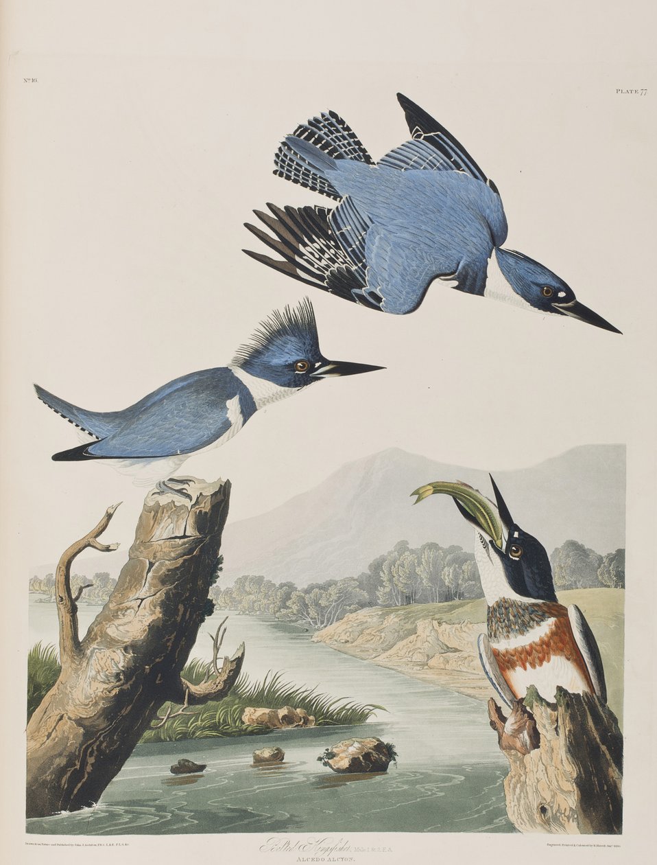 Illustration de 