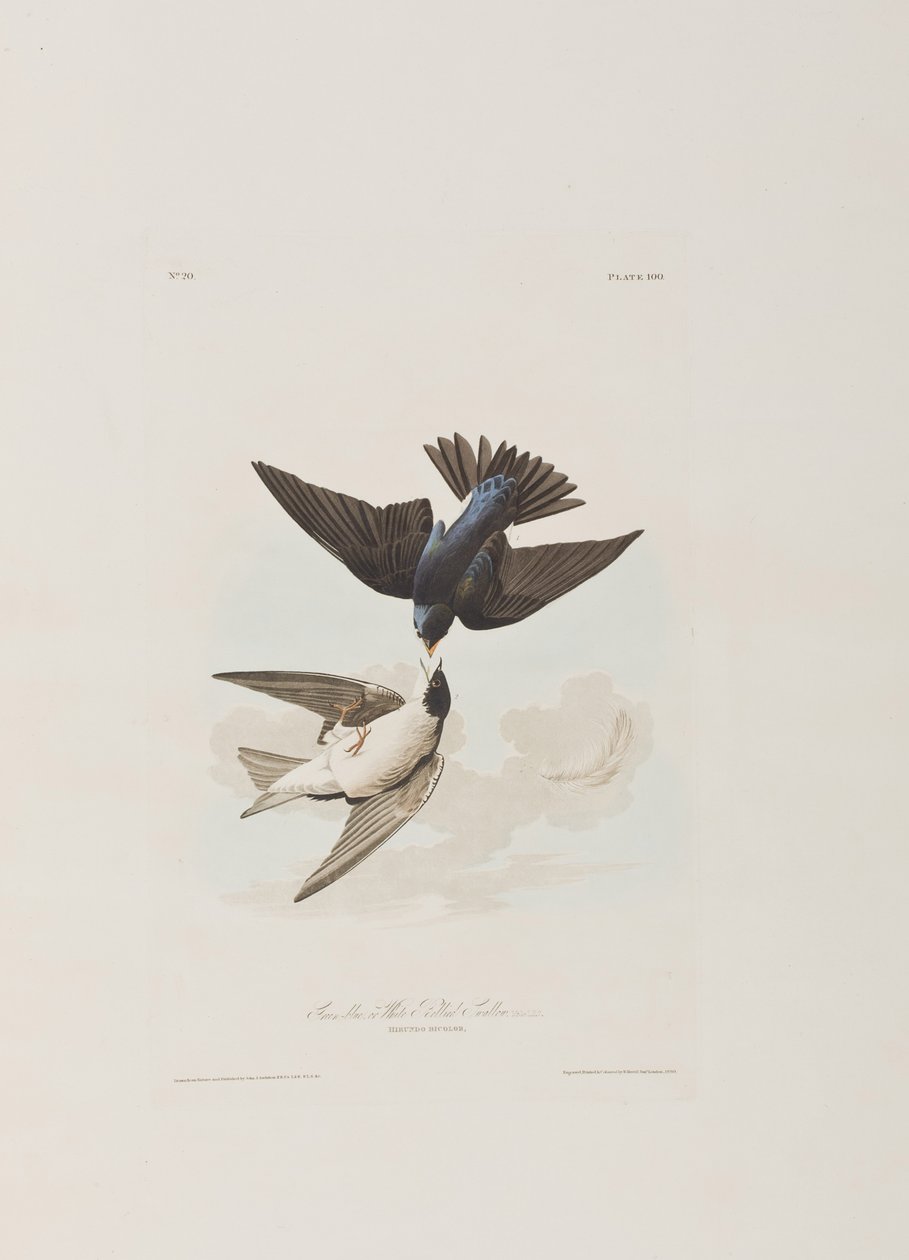 Illustration de 