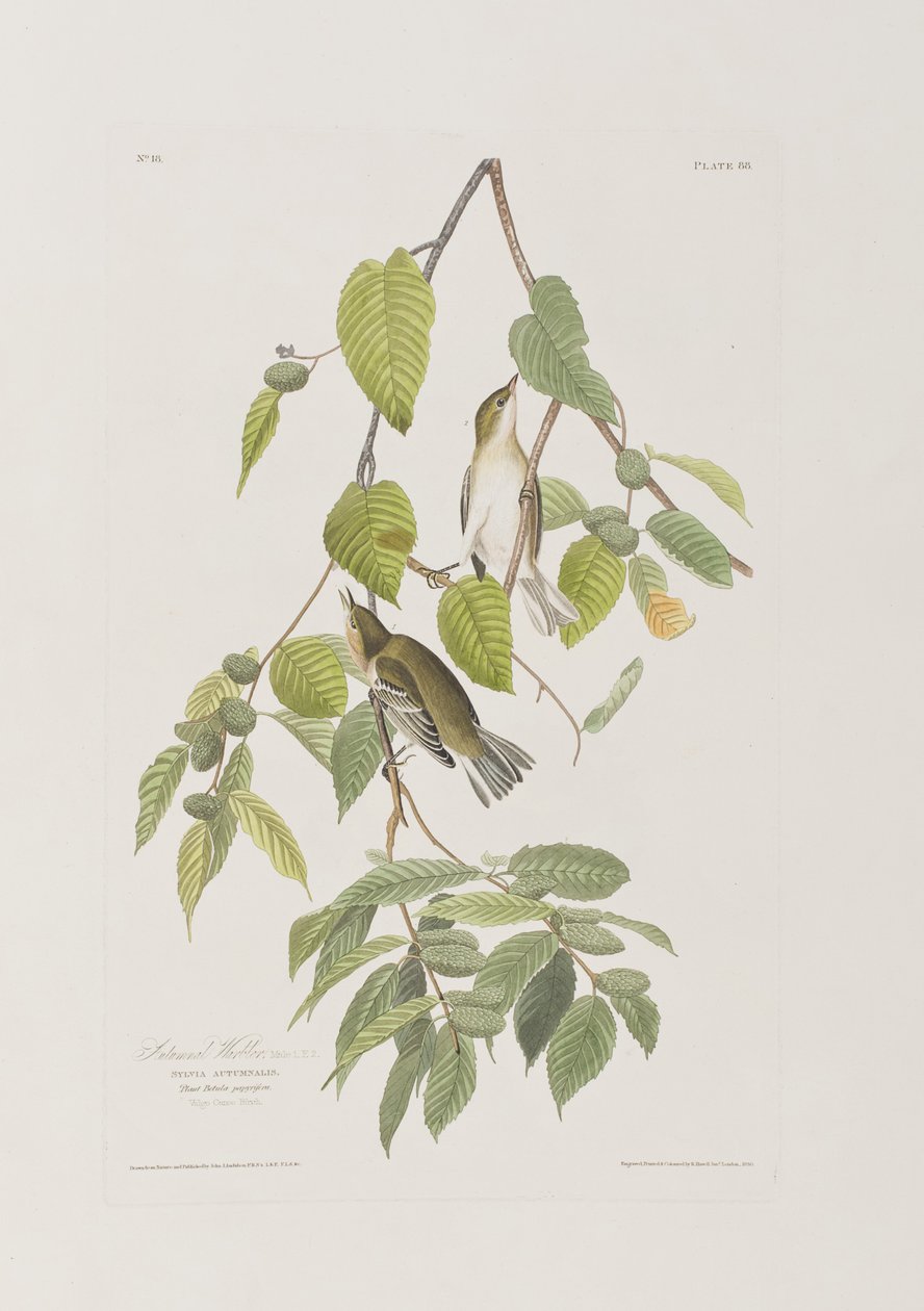 Illustration de 