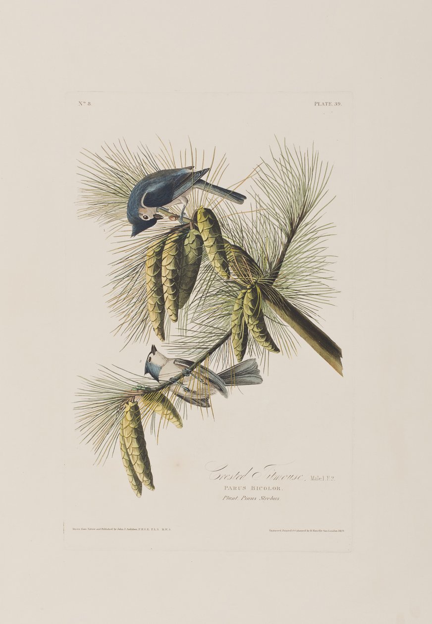 Illustration de 