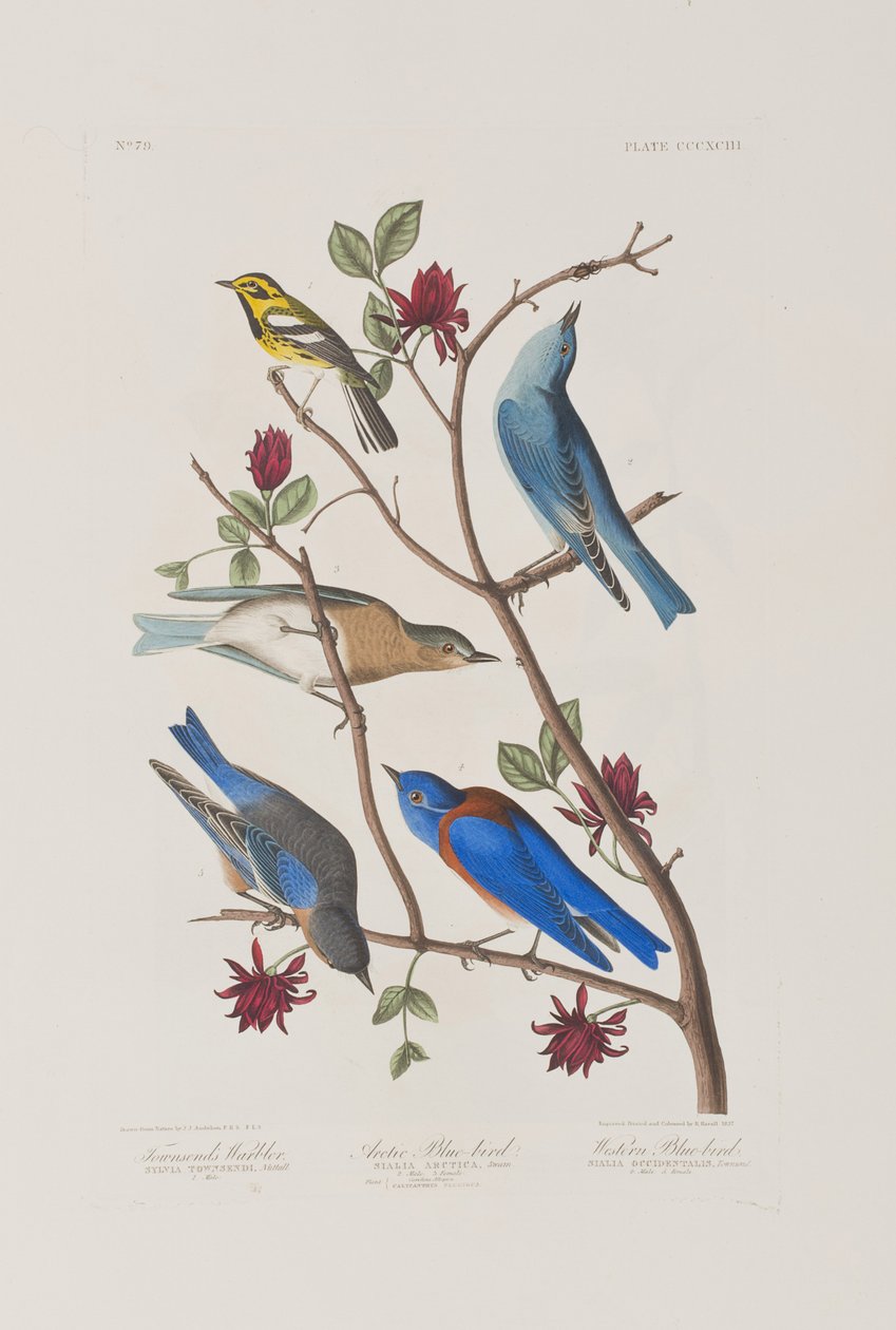 Illustration de 