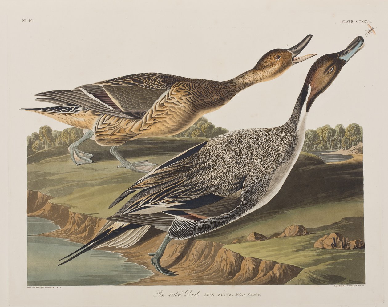 Illustration de 