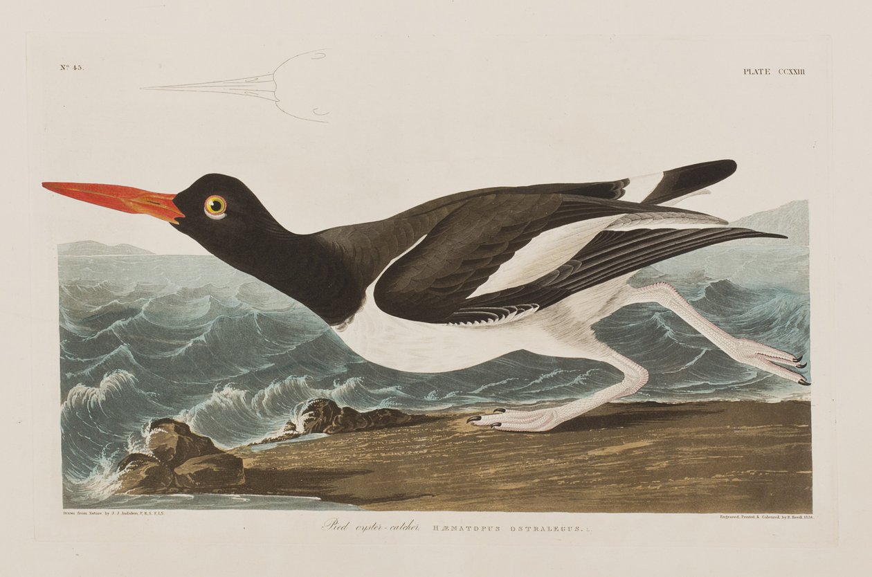 Illustration de 
