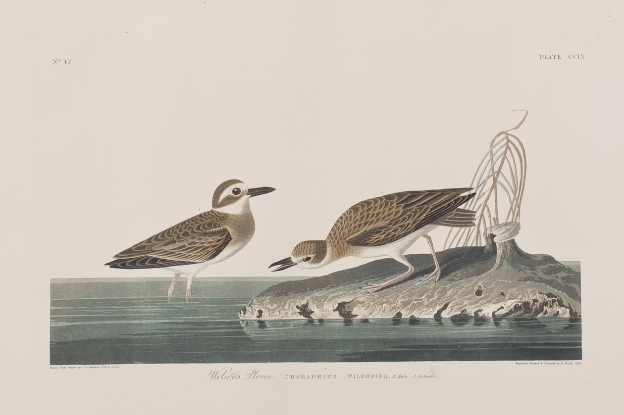 Illustration de 